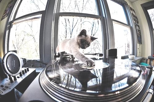 THE SUBLIMINAL SESSIONS-WE LOVE TRANCE