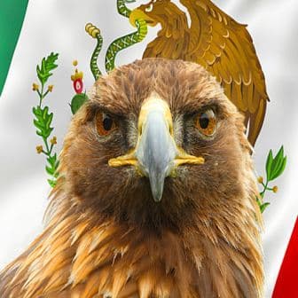 LA GUERRA MÉXICO VS ESTADOS UNIDOS (1846-47)