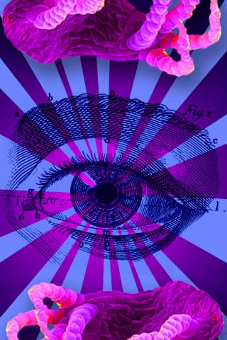 Sensitivo P-O-D C-A-S-T