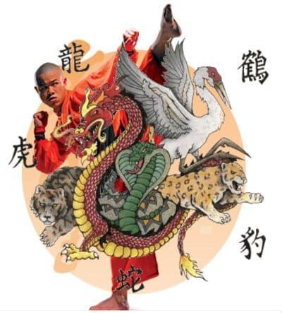 escuela de artes marciales