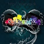 Estereox Radio