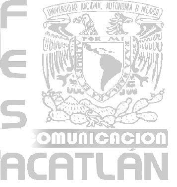 El informal