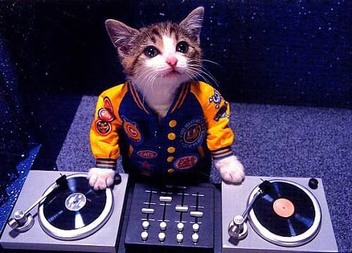niCo Dj