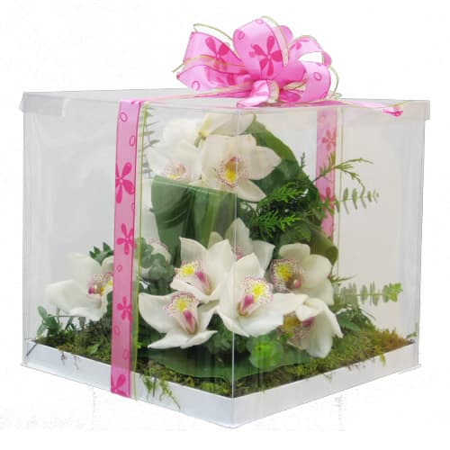 Invitación  al  ECI  invierno - 2010