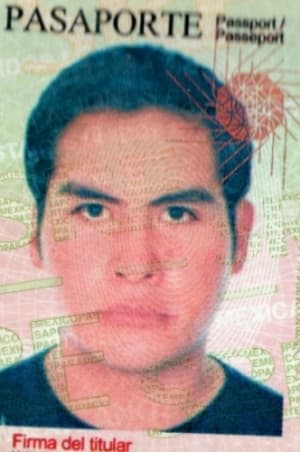 Noches de Calíope en el MAM