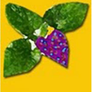 Platos con Sabor Cultural