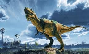 Christian avila pertuz