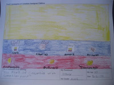 Red de Investigaciones en Migraciones Colombianas