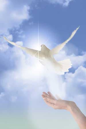 Cursos del Espíritu. Iglesia Expresión de Vida.