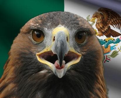 EL EXILIO ESPAÑOL EN MÉXICO. (1)