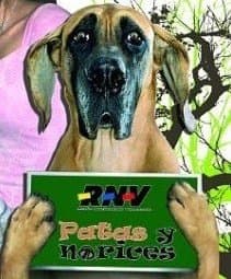 Comunicación para el Bienestar Animal - Patas y Narices