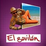 el gavilan podcast 