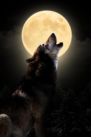 CON TODA CONFIANZA, CON MARCO CASILLAS