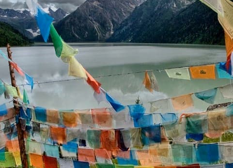 Experiencia literaria