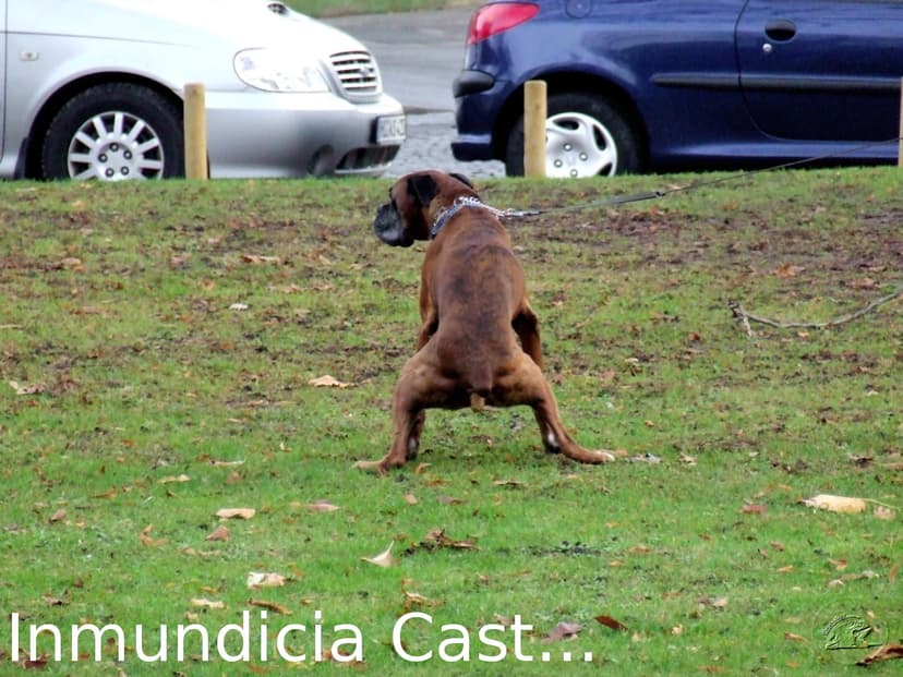 Inmundicia Cast