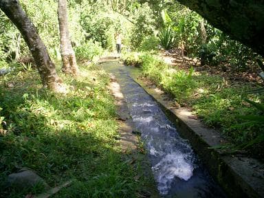 EL AGUA EN SAMANIEGO