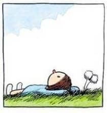 La elegancia del erizo, por Candela Caballero