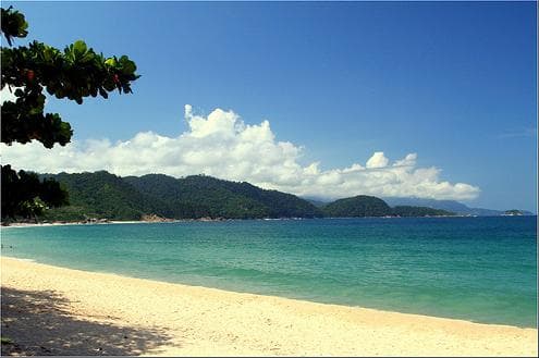 Aguaviva - Carolina Balbi