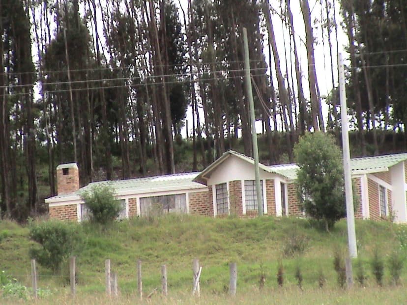 Podcast de lfernando