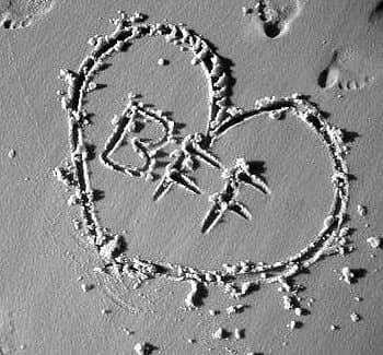 Best Friends Forever " Jorga Sn"