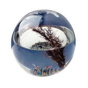 Comentarios de motos