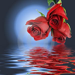 Corazón de montaña