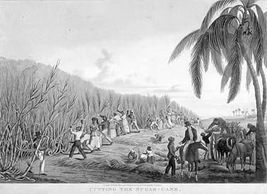 el peldaño que todo el mundo necesitó, Haití