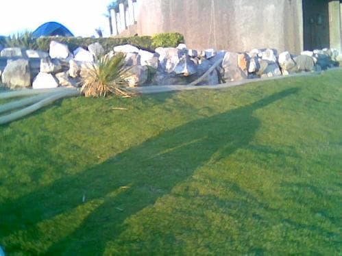 Patología al absurdo