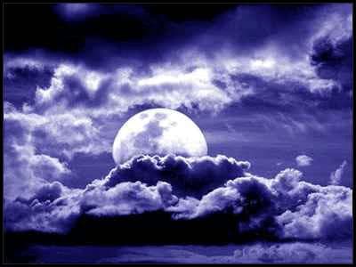 Un Poema de Hess (Tosca una perra grande)