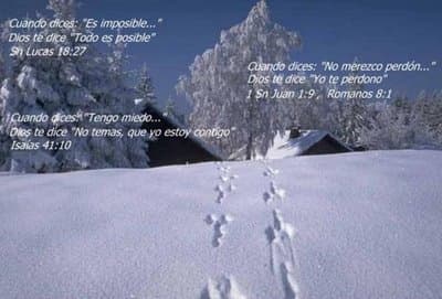 Mensaje De Dios Para Tiii 