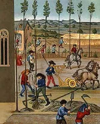 HISTORIA DEL DERECHO