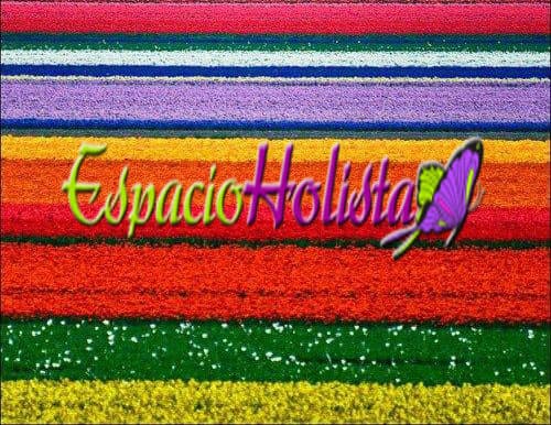 kien kiera oir k oiga radio