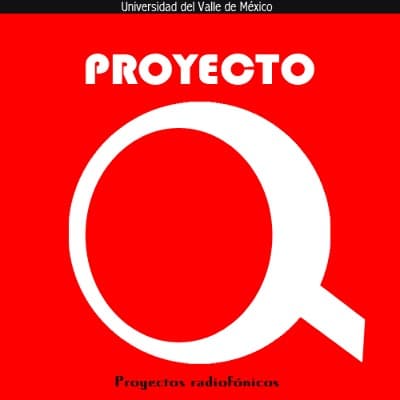 Proyecto Q