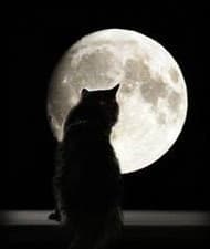 Horror Sapiens: con Suspiria