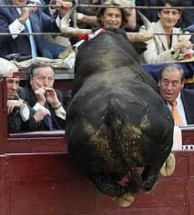 Asociación Taurina Universitaria