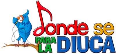 Donde se para la Diuca