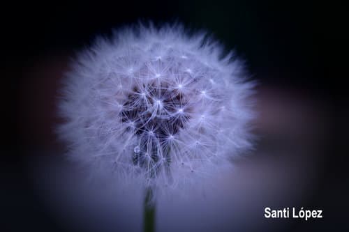 el baile! un sano ejercicio