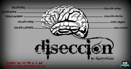 DISECCION BY SANDYMOON 2013 