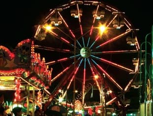 La Feria de  y sus gatos que no dan La Paz.