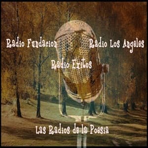 Radio Fundacion, Radio Los Angeles y Radio Exitos.
