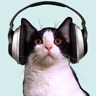 XE-Doble Miau: Radio Morris