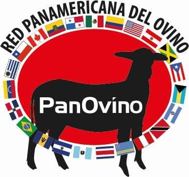 RED PANAMERICANA DEL OVINO