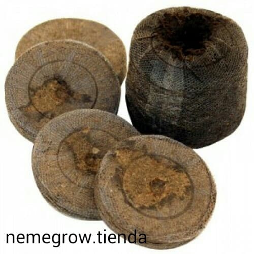 PODCAST SOBRE CANNABIS