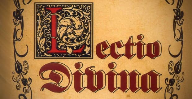 Lectio Divina VI Domingo T. Ordinario