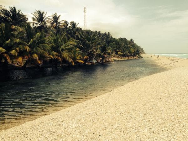 Palabras Con Sentido.