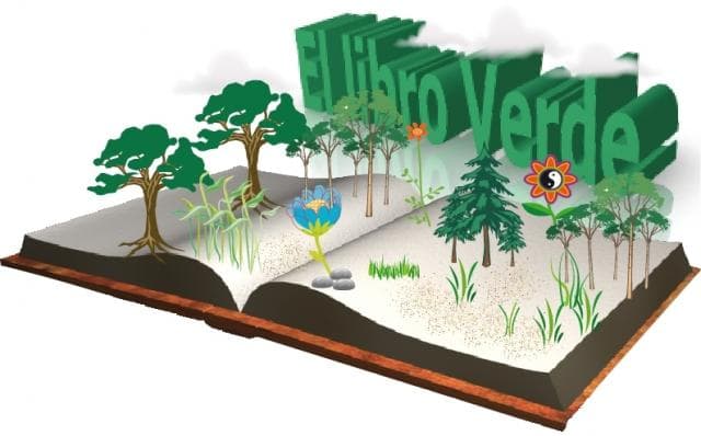 LIBRO VERDE