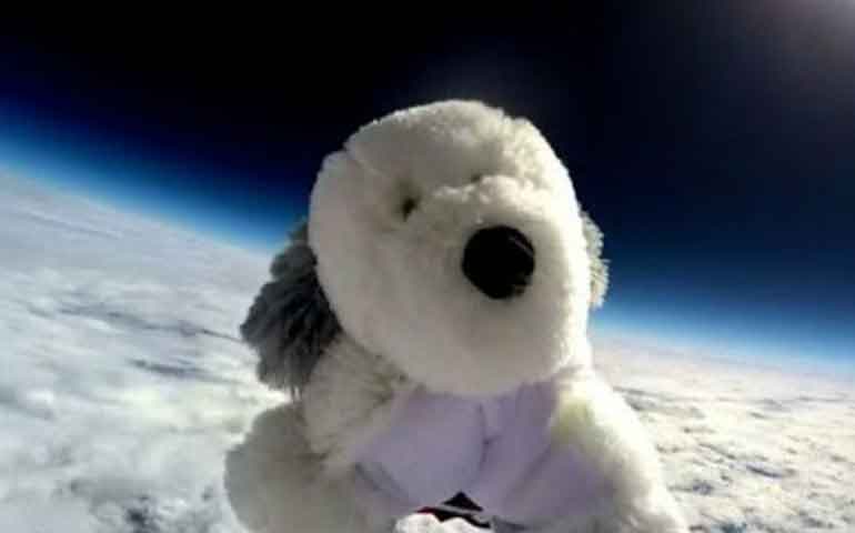 El perrito del espacio