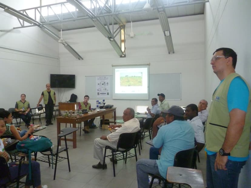 Mejoramiento Genético de Oleaginosas