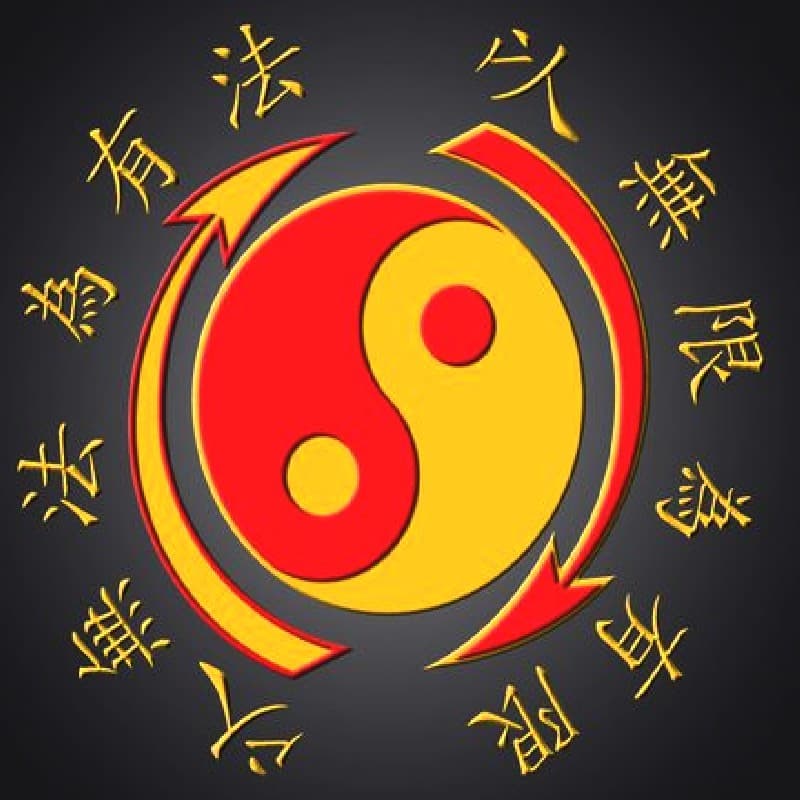 Artes Marciales: El camino del guerrero!