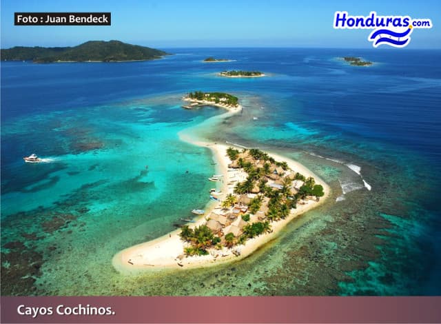 Tecnología Educativa II